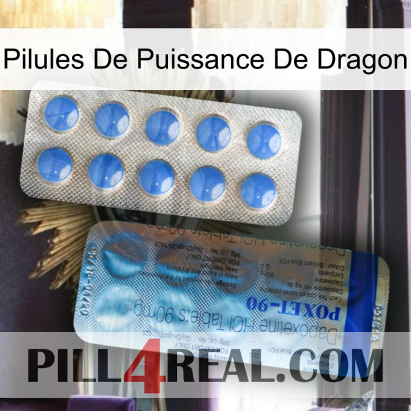 Dragon Power Pills 40